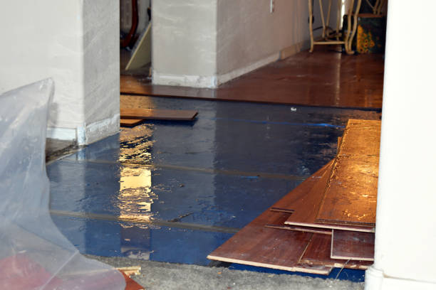 Professional Water Extraction technician working in Pease, MN